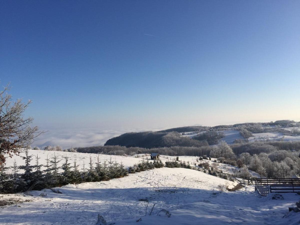 Vila Hajdi Planina Tara Bajina Basta Luaran gambar