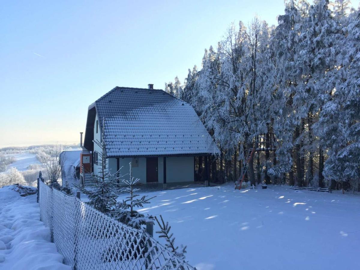 Vila Hajdi Planina Tara Bajina Basta Luaran gambar